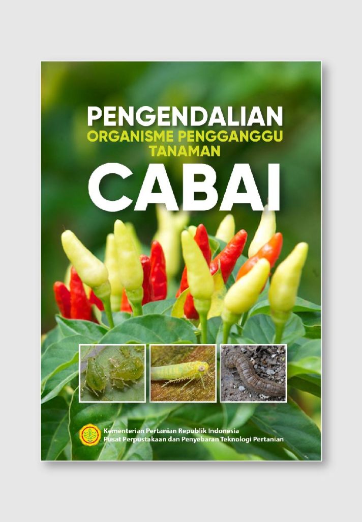 Portfolio_Kementan_19